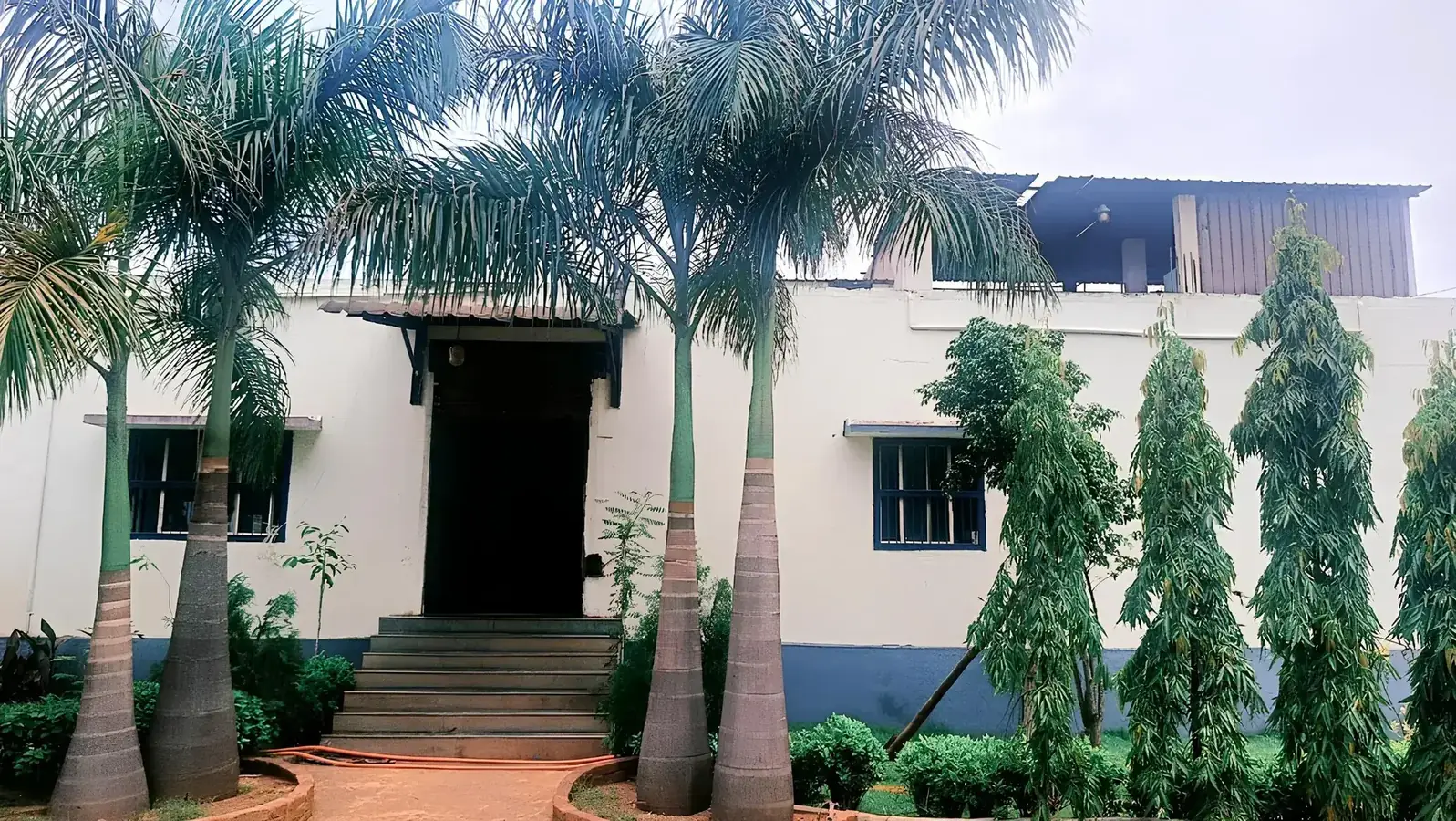 API Custom Manufacturing Facility